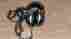 Se-305 Pioneer Vintage Headphones