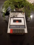 Vintage Realistic Radio Shack Wood-grain -stereo Cassette Deck SCT-12. Fixed Price $25.00.