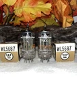 Westinghouse Nos/nib 5687 Amp Radio Vacuum Tubes Bronze Plate Matching Test. Fixed Price $79.95.