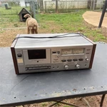 Teac A-107 Stereo Cassette Deck Wood Grain Vintage. Fixed Price $175.00.