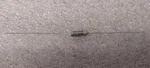 '1 Piece' Pn# P-123ZNG, P123ZNG Aerovox Capacitor. Fixed Price $95.00.