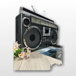 Sharp GF-305SB Stereo Boombox Radio Cassette Recorder 1978 Vintage Used Japan. Fixed Price $855.49.