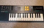 Casio SK-8 Sampling Keyboard With Rom Pack 356 Disney. Fixed Price $120.00.