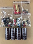 Accuphase E202 Complete Rebuild Kit High-quality Amplifier Recap Transistors. Fixed Price $180.00.